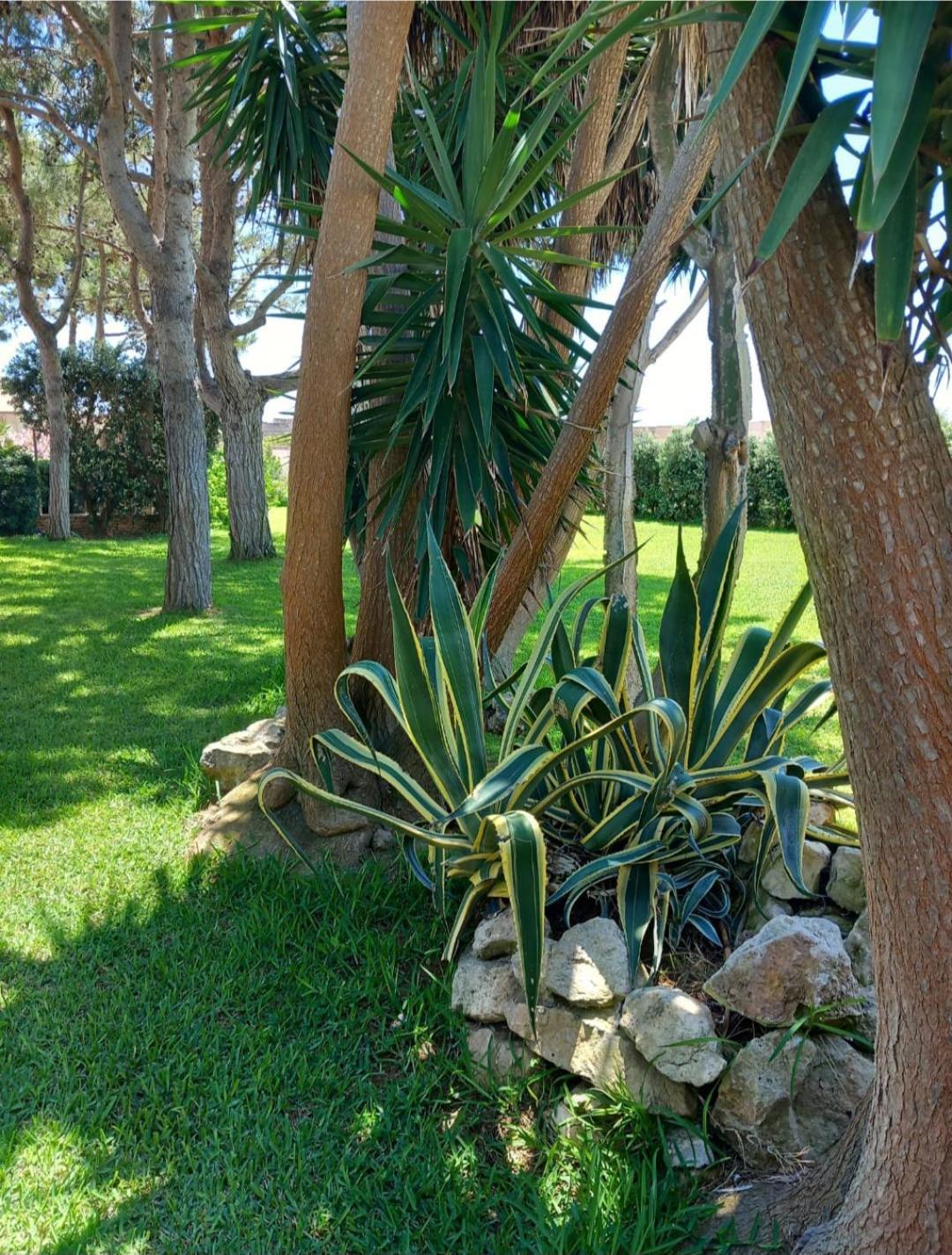Blu Vacanze Residence Favignana Bagian luar foto