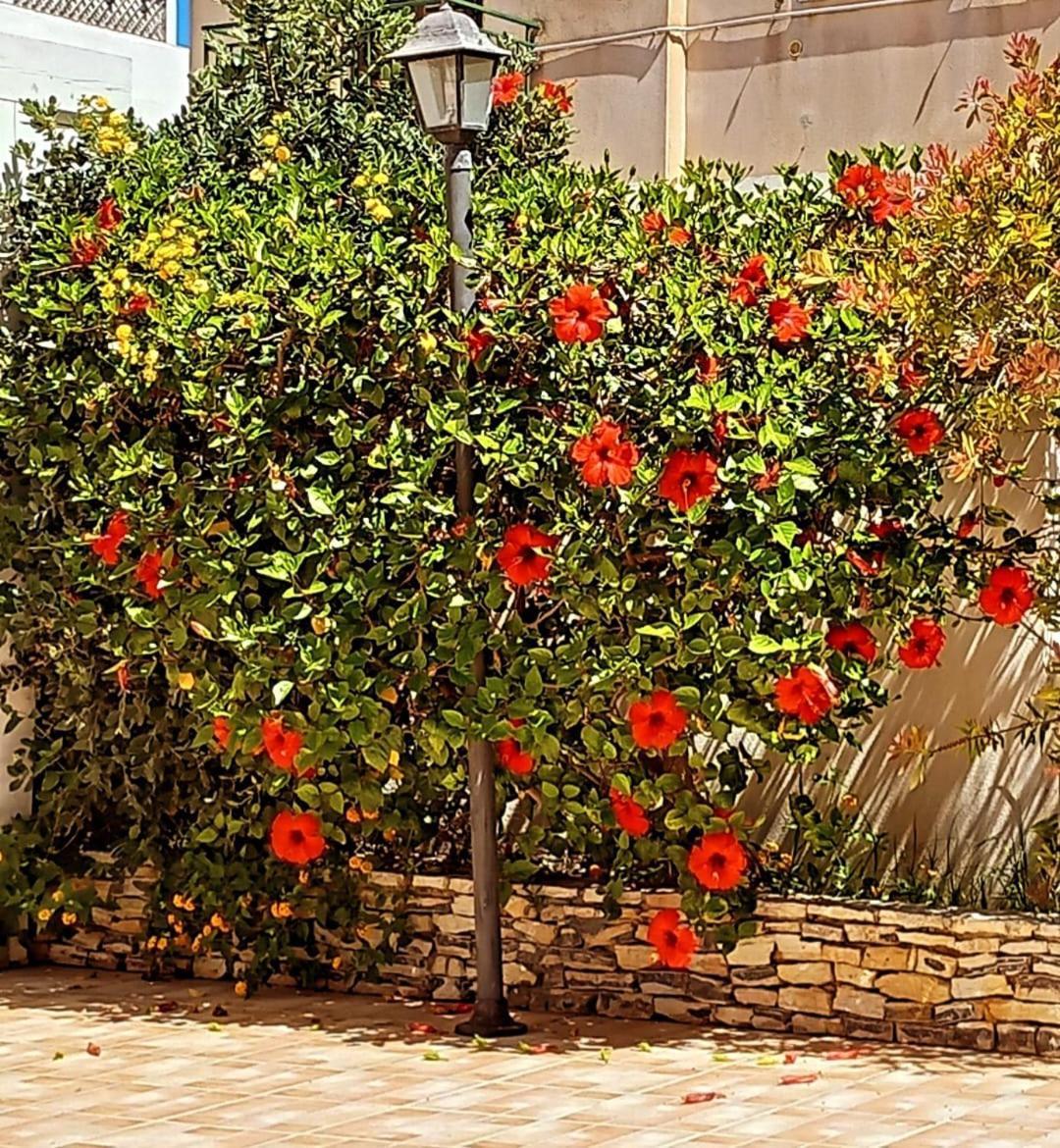 Blu Vacanze Residence Favignana Bagian luar foto